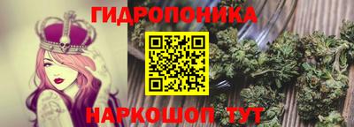каннабис Волжский